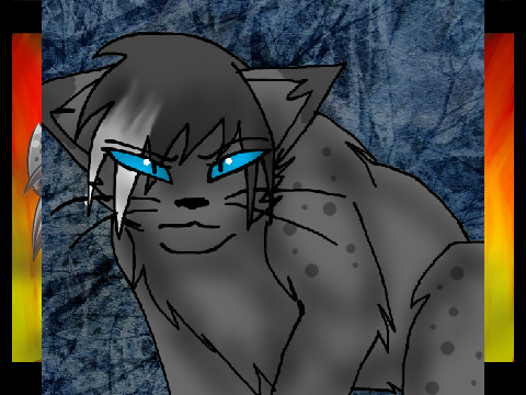 Numb||Warriorcats||AMV