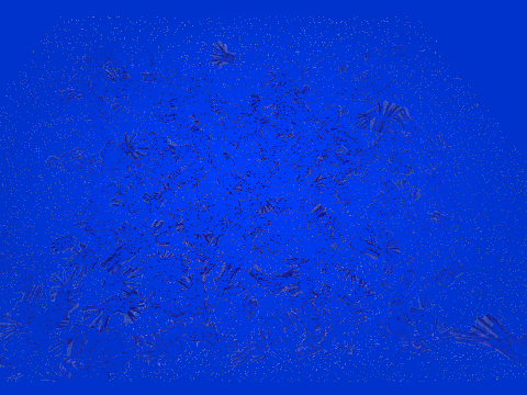 Squid infestation (Glitchy)