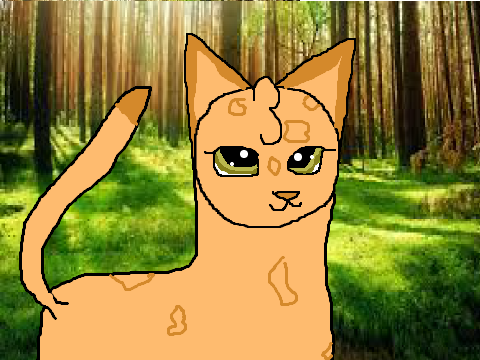 Random cat