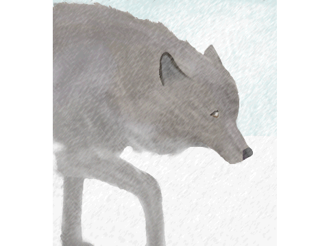 Murr