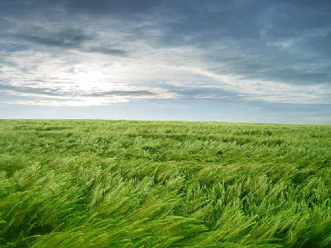 Wind - Music
