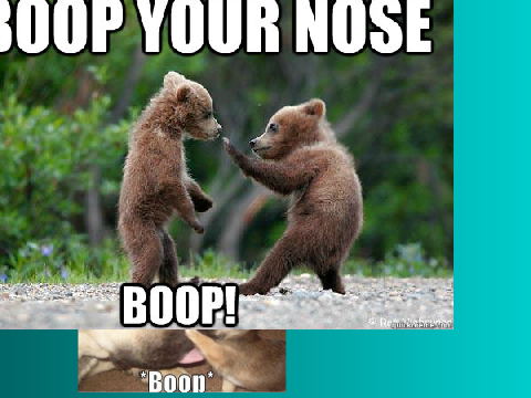 BOOP*   XD remix