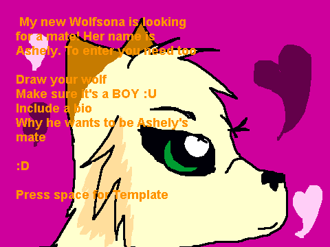 Contest for Ashely!!!