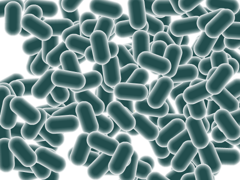 25 -Bacteria (15 word challenge)