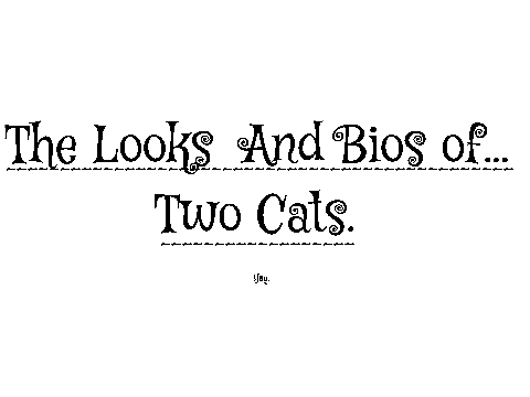 The Looks And Bios of... Two Cats.