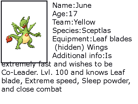 Character fill out sheet!