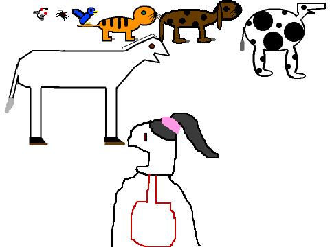  There was an old lady who swallowed a fly