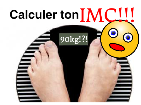 —| |██Calculateur d'IMC v1██| |—