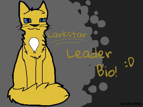 Cat Bio Template v.1.1 -  Larkstar