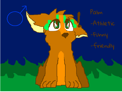 Meet my OC's!