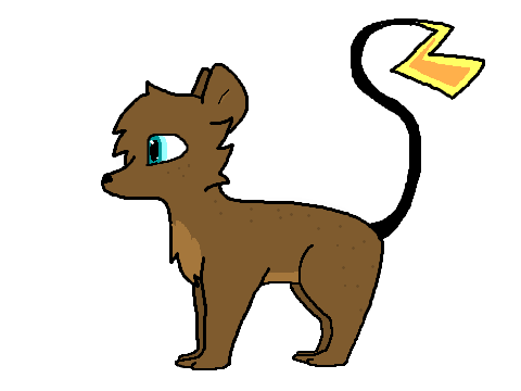 DT with StormieTheCat