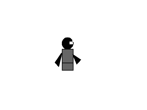Pixel ninja