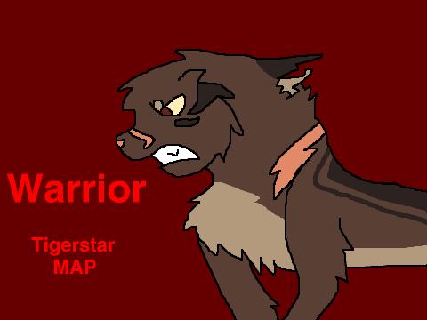 Warrior MAP// Tigerstar