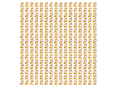Duplicate