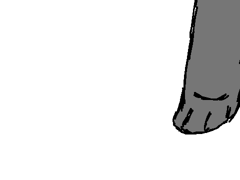 Paws on the ground 