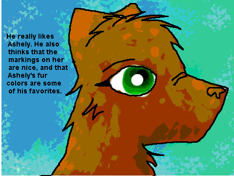 Contest for Ashely!!! (entry)