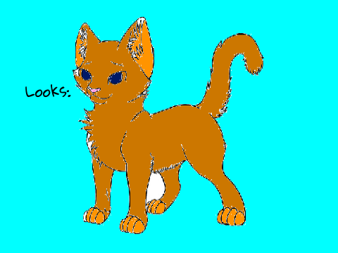 splashflame of panther clan