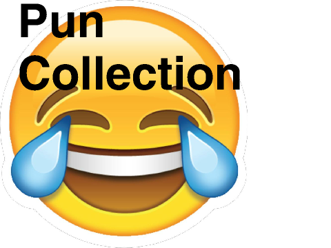 Puns Collection