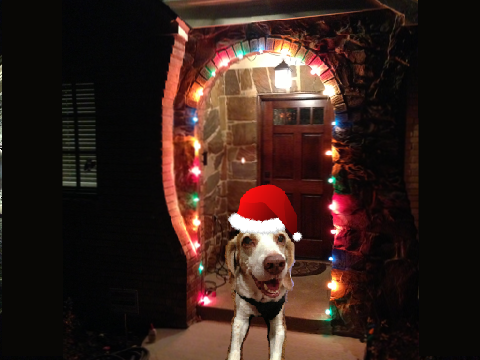 Happy Holidays Ruff Ruff