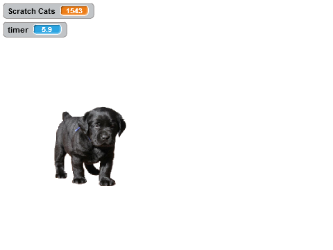 So much puppies