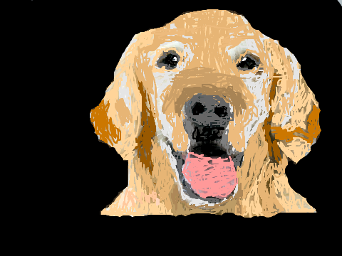 Sampson Scribble Art