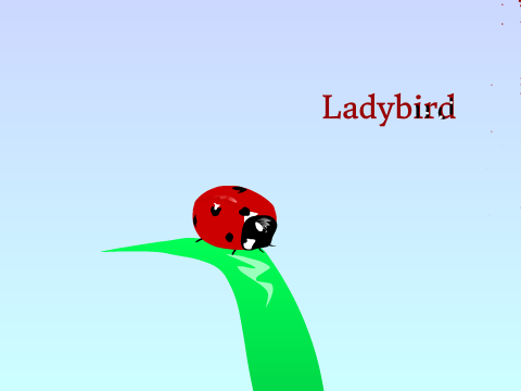 Ladybird