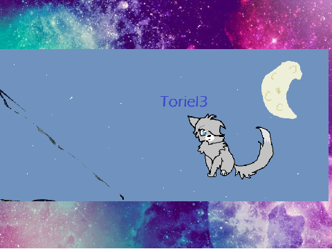cat pic I did