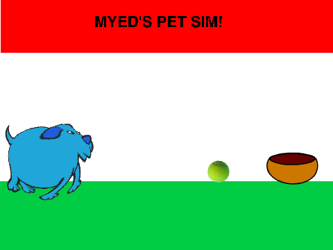 Virtual Pet