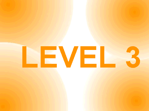 level 3- results