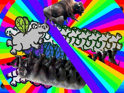animal madhouse