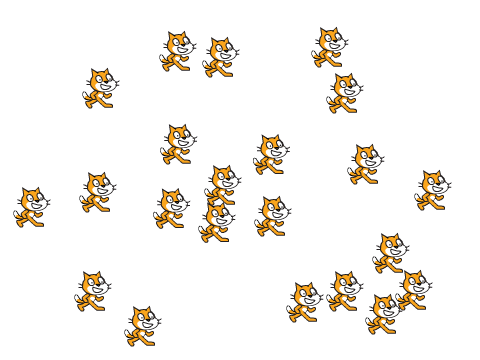 Go Crazy For Cat