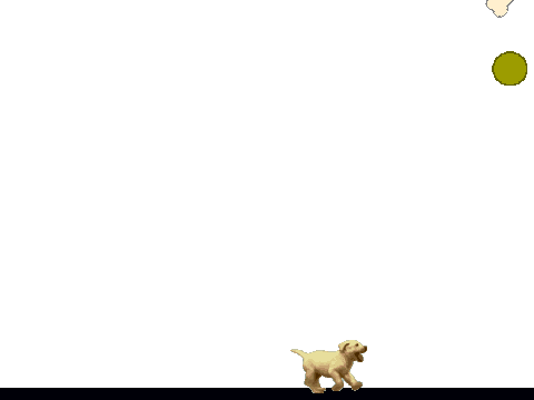 Virtual doggy