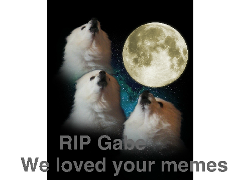 Last month I gave you my memes... for Gabe the Dog