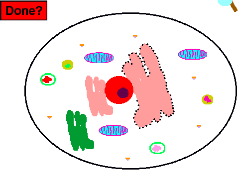 Cell Project