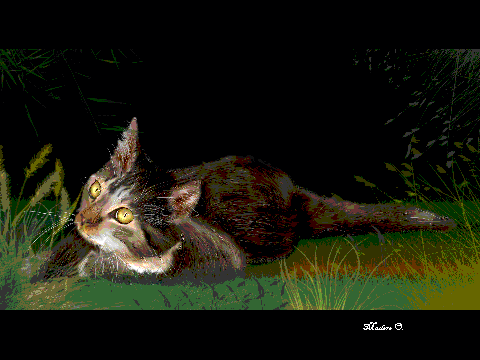 The Cat's Midnight Respite