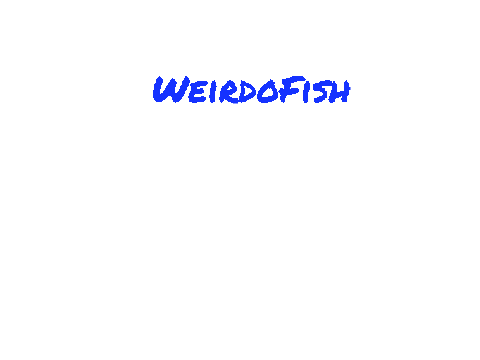 My new intro