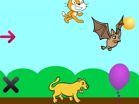 Animal Race