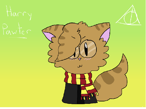 Harry Pawter