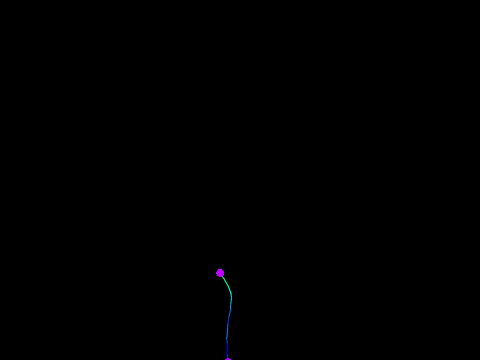 Fireworks display