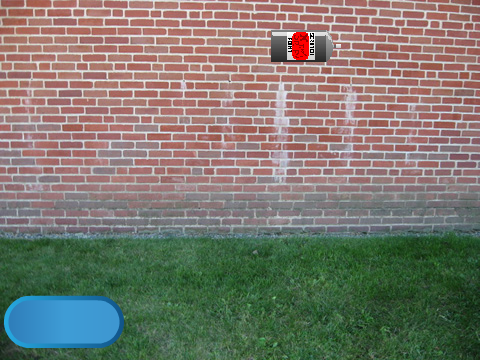 cs307287 Graffiti Project