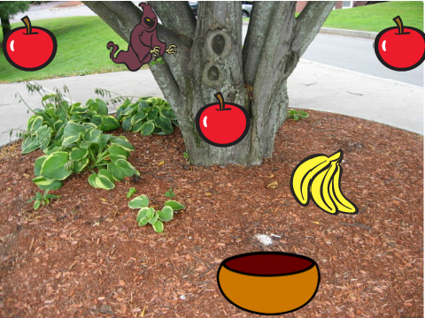 get the apples