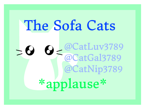 Cat3789 || Sofa Cats Managers