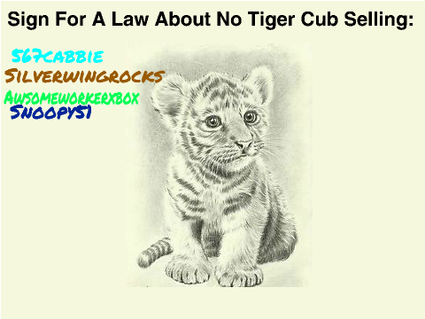CLICK THIS NOW- SAVE THE TIGERS! remix remix remix remix remix