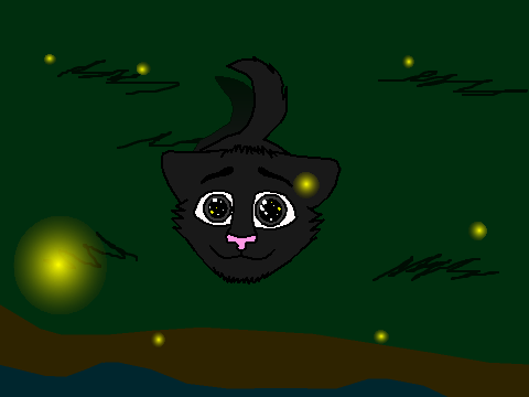 fireflies CC opened
