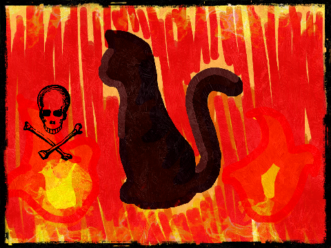 Cat Contest Entry