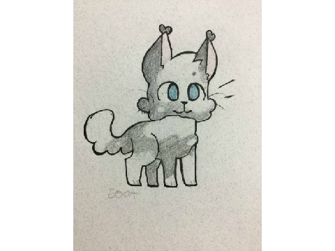kitten