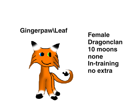 Frostpaw and Gingerpaw