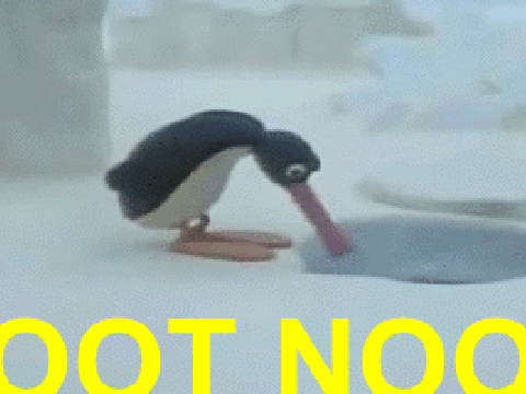 NOOT NOOT 
