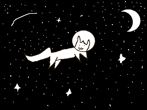 cat  in  space