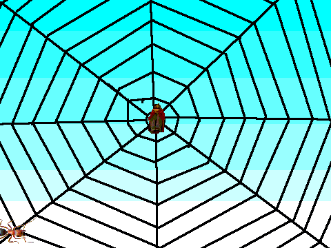 Spider Mainia